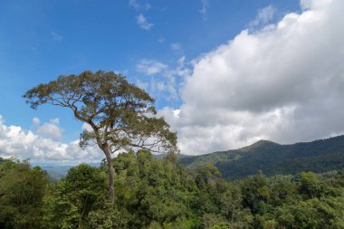 Dağ manzarası ve mavi gökyüzü ve beyaz bulut kopya alanı ile.