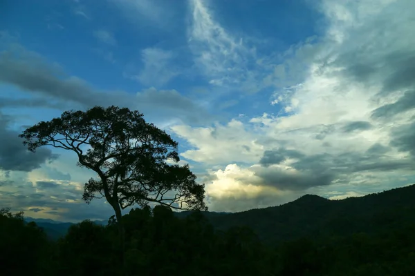 Montaña Paisaje Puesta Sol Horizonte Con Espacio Para Copiar —  Fotos de Stock