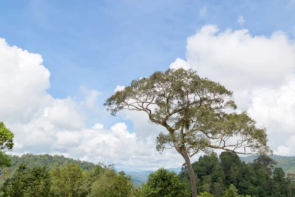 Mountain Landscape Blue Sky White Cloud Copy Space — Stock Photo, Image