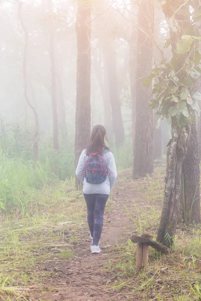 Ásia Adolescente Menina Mochila Atrás Caminhadas Escalada Natureza Montanha — Fotografia de Stock