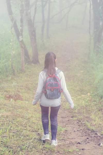 Ásia Adolescente Menina Mochila Atrás Caminhadas Escalada Natureza Montanha — Fotografia de Stock