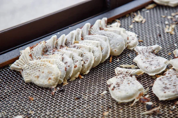 Taiyaki rybí dort japonský styl — Stock fotografie