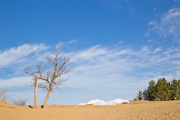 Dune de sable Tottori Images De Stock Libres De Droits
