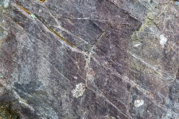 岩の表面 — ストック写真
