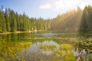 yılan Gölü Milli Parkı Durmitor