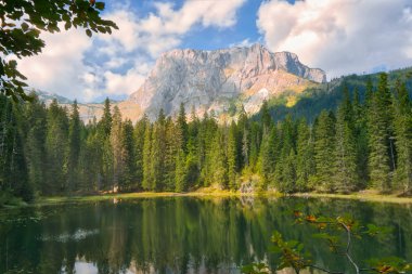 Göl Ladin orman ve dağlar arka planı