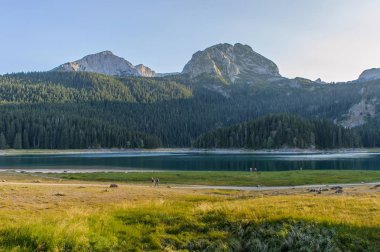 Buzul kara göl. Milli Parkı Durmitor.