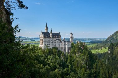 Alplerde Neuschwanstein Şatosu
