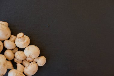 Siyah bir zemin üzerine champignon mantar