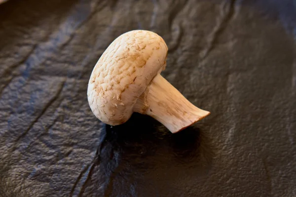 Siyah bir zemin üzerine champignon mantar