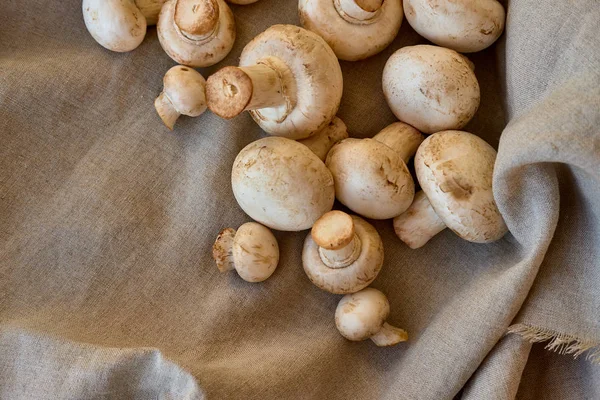 Champignon Pilze Auf Einem Grauen Tuch — Stockfoto