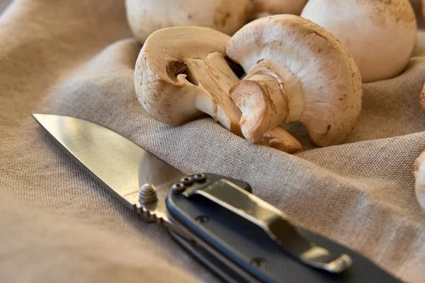 Champignon Pilze Auf Einem Grauen Tuch — Stockfoto