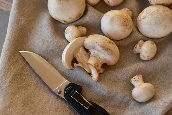 Champignon Pilze Auf Einem Grauen Tuch — Stockfoto