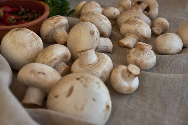 Bir gri kumaş üzerine champignon mantar