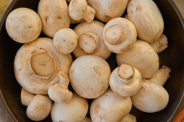 Champignon Pilze Einer Gusseisernen Pfanne — Stockfoto