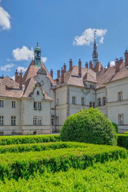 Tarihi Ortaçağ Kalesi Shenbornov