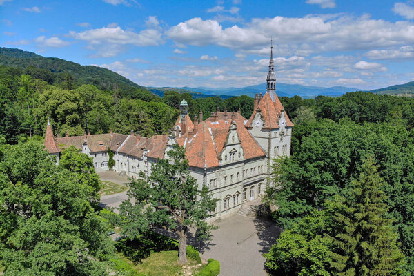 Castle Shenbornov aerial view