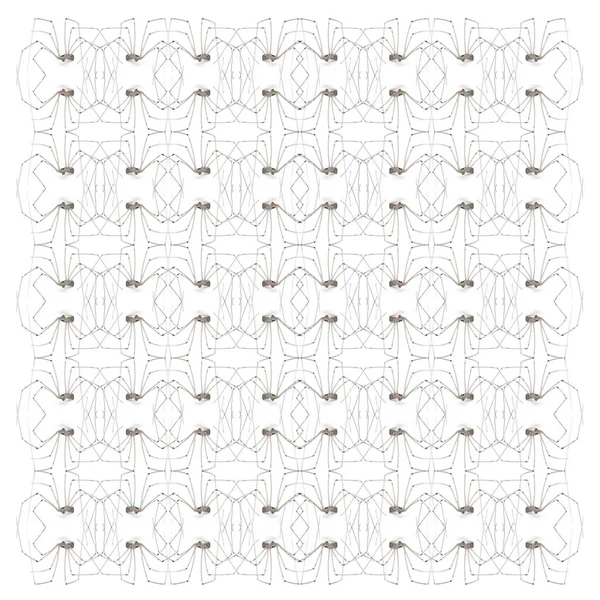 Örümcek, beyaz arka plan önünde tekrarlanan kalıp içinde Holocnemus pluchei