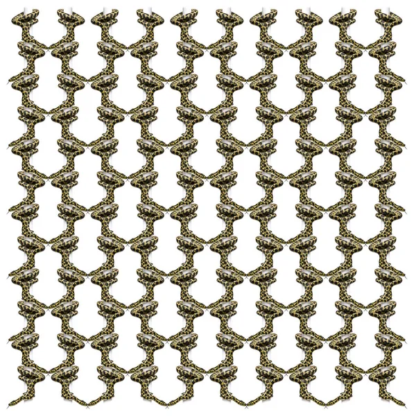 ㅁ에 대 한 반복된 패턴에서 모 렐 리아 spilota variegata 파이 톤 스 — 스톡 사진