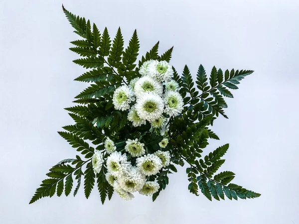 Ένα Μάτσο Άσπρα Λουλούδια Λευκό Φόντο — Φωτογραφία Αρχείου