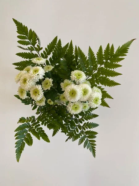 Bouquet Fleurs Blanches Sur Fond Blanc — Photo