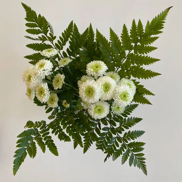 Bunch Van Witte Bloemen Een Witte Achtergrond — Stockfoto