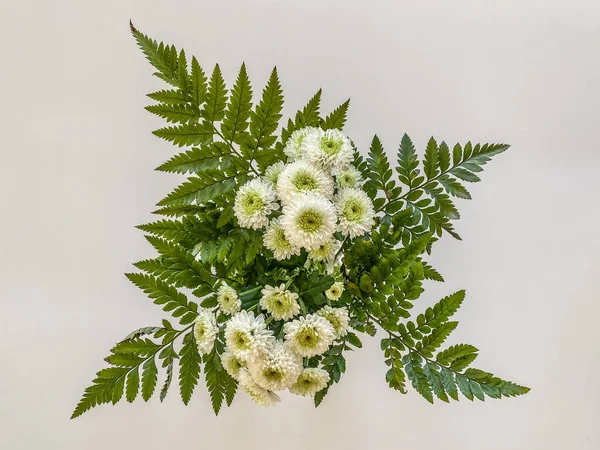 Ein Bündel Weißer Blumen Auf Weißem Hintergrund — Stockfoto
