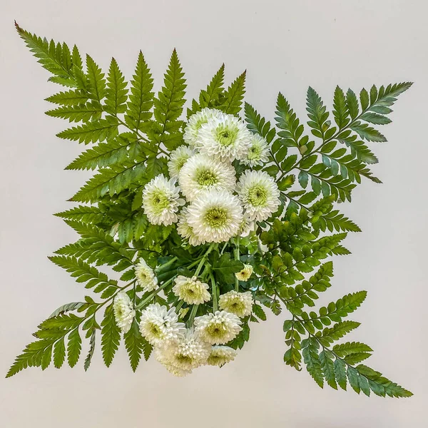Bouquet Fleurs Blanches Sur Fond Blanc — Photo