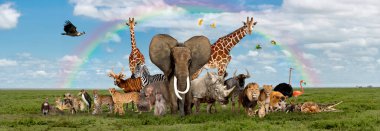 Large group of African fauna, safari wildlife animals together, in a row, isolated clipart