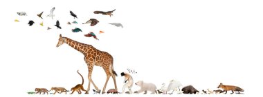 Group of many animals fleeing away, walking in a row, isolated clipart
