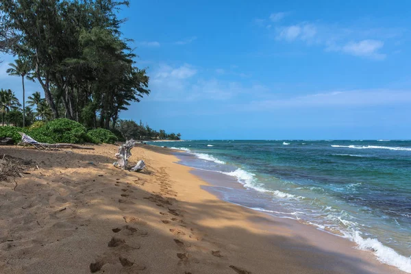 Plage Sable Long Côte Parc Plage Waicati Kauai Hawaï — Photo