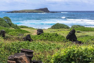 Kaupo Bay, Oahu, Hawaii yeşil kıyıdan Kaohikaipu adasının görünümü