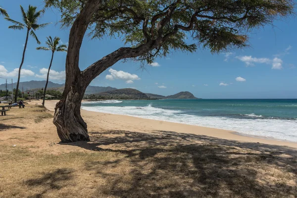 Vista Playa Arena Largo Maili Costa Sotavento Oahu Hawaii —  Fotos de Stock