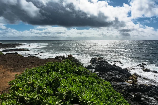 Costa Kapaa Kauai Hawai — Foto de Stock