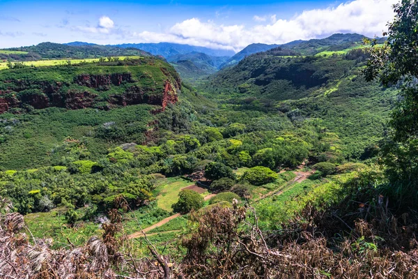 Вид Долину Ханапепе Кауаи Гавайи — стоковое фото