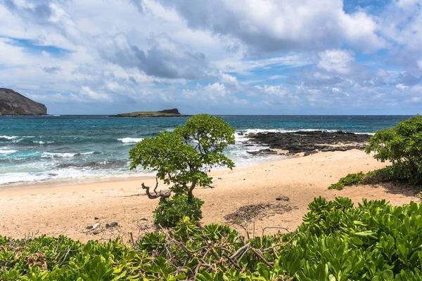 Costa Longo Waimanalo Oahu Havaí — Fotografia de Stock