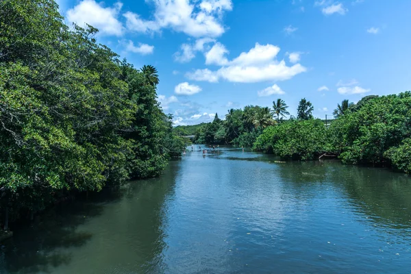 Anahulu Ström Haleiwa Oahu Hawaii — Stockfoto