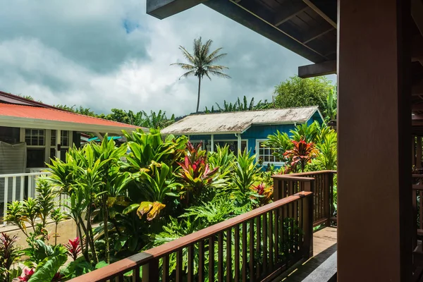 Hanalei, Kauai, Hawaii tropik bitki örtüsü