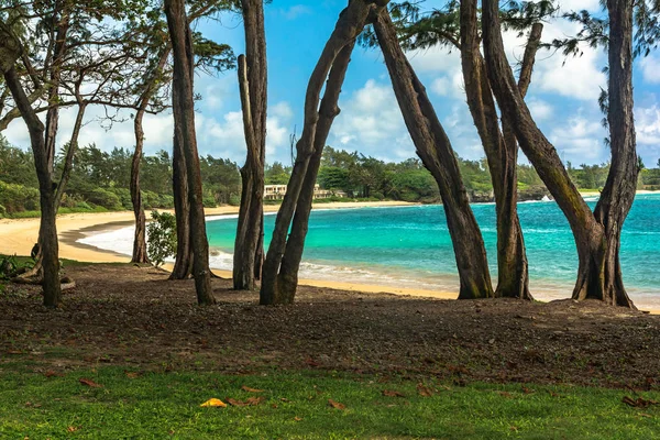 Kokololio Beach Park Oahu Hawaï — Photo