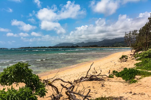 A costa ao longo Malaekahana Beach, North Shore Oahu, Havaí — Fotografia de Stock