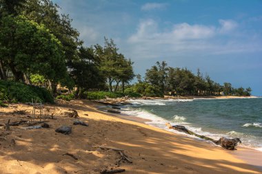 Kıyı boyunca Wailua, Kauai, Hawaii