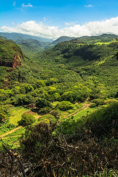 夏威夷考艾岛, 哈纳佩山谷俯视 — 图库照片
