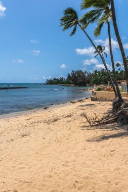 Waialua Körfezi, North Shore, Oahu, Hawaii