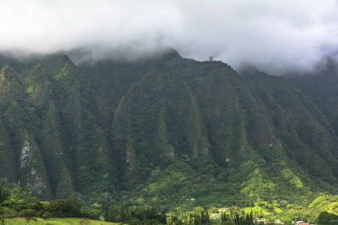 Koolau dağ silsilesi, Oahu, Hawaii