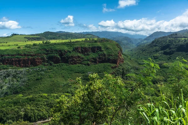 Zöld Erdők Hanapepe Völgyben Kauai Hawaii — Stock Fotó