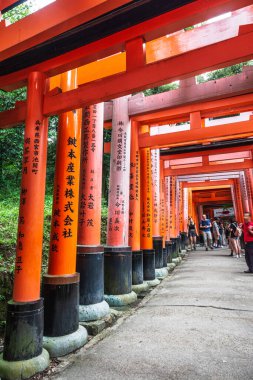 Kyoto, Fushimi ku, Japonya, Asya - 5 Eylül 2019: Senbon Torii, Fushimi Inari Taisha 'daki Torii Gates sırası