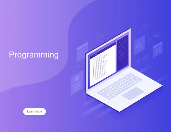Разработка и программирование программного обеспечения, программный код на экране ноутбука, обработка больших данных. Современная векторная иллюстрация — стоковый вектор