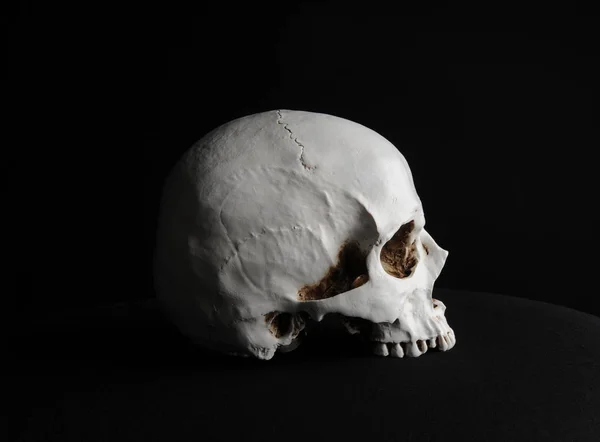 Primo Piano Del Cranio Umano Sfondo Nero — Foto Stock