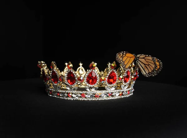 Uma Borboleta Uma Coroa Dourada — Fotografia de Stock