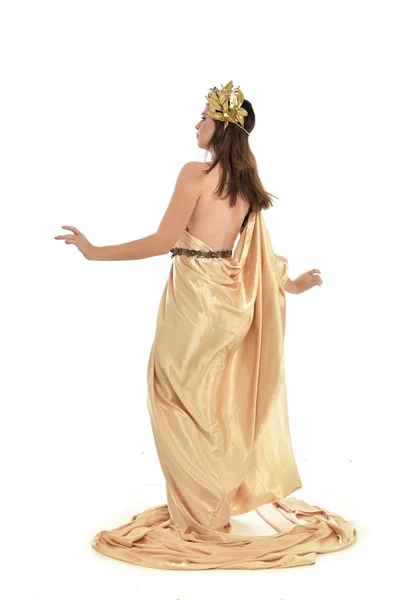 Full Length Portrait Brunette Woman Wearing Gold Grecian Gown Standing — Stock Photo, Image